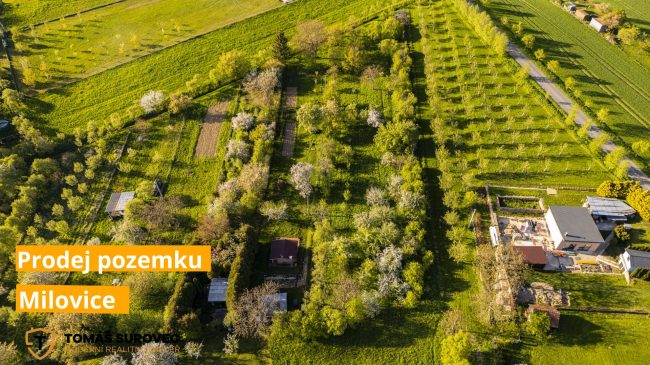 Prodej pozemku v obci Soběsuky – Milovice
