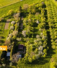 Prodej pozemku ,Milovice