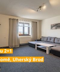 Pronájem bytu 2+1 v rodinném domě, Uherský Brod  PRONAJATO !