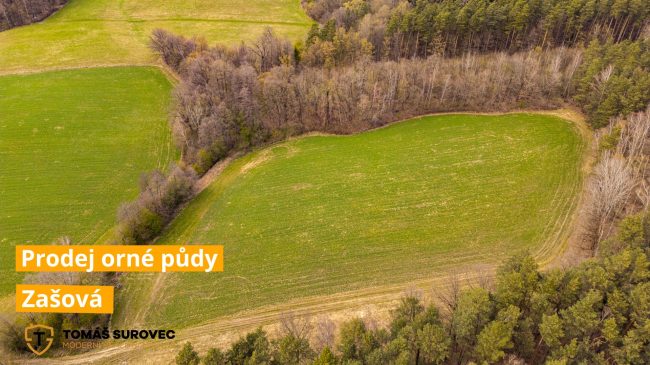 Prodej  orné půdy v obci  Zašová